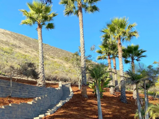 Planting Services